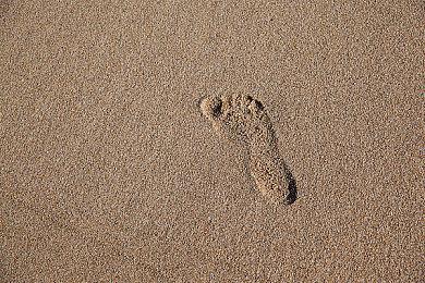 万代南梦宫确定参加2022科隆游戏展